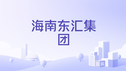 海南东汇集团