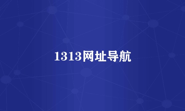 1313网址导航