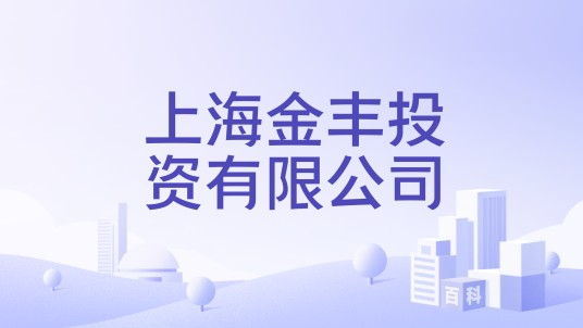 上海金丰投资有限公司