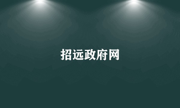招远政府网