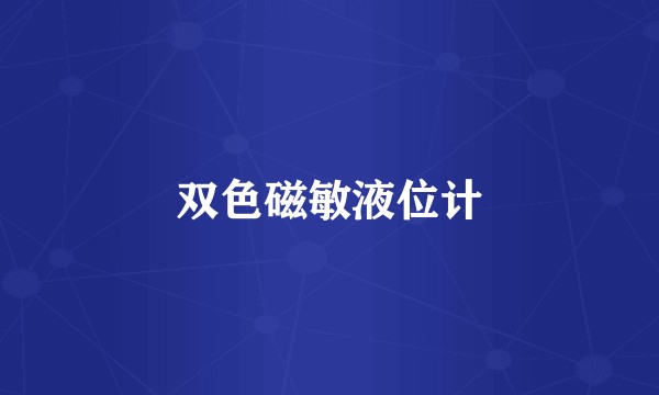 双色磁敏液位计