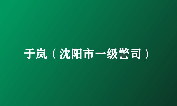 于岚（沈阳市一级警司）