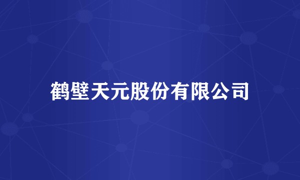 鹤壁天元股份有限公司