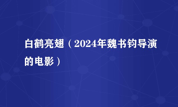 白鹤亮翅（2024年魏书钧导演的电影）