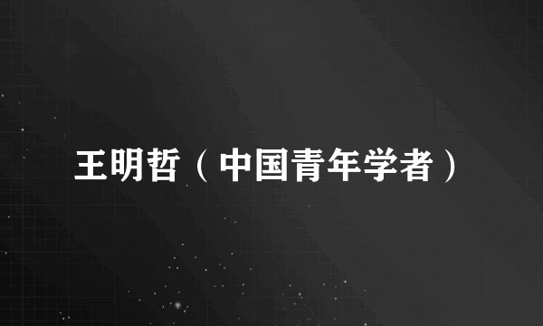 王明哲（中国青年学者）