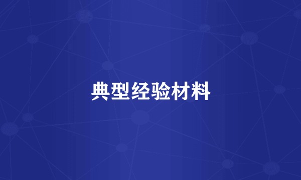 典型经验材料