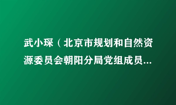 武小琛（北京市规划和自然资源委员会朝阳分局党组成员、副局长）