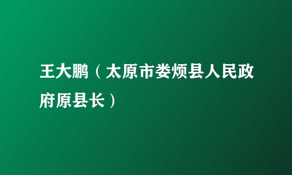 王大鹏（太原市娄烦县人民政府原县长）