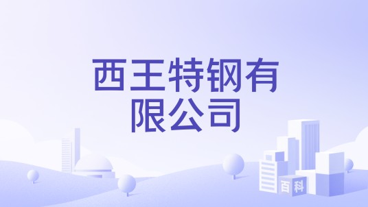 西王特钢有限公司