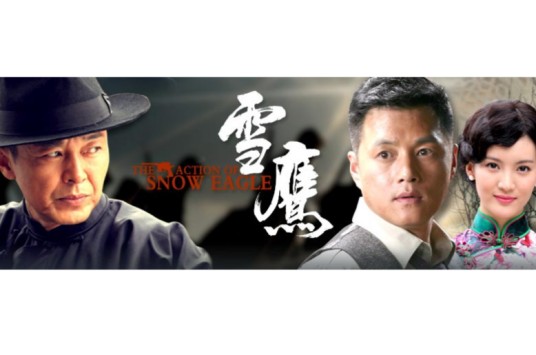 雪鹰（2013年陈冠龙执导的抗日剧）