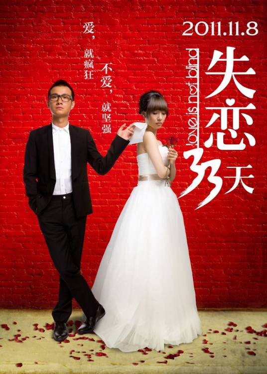 失恋33天（2011年滕华涛执导的电影）