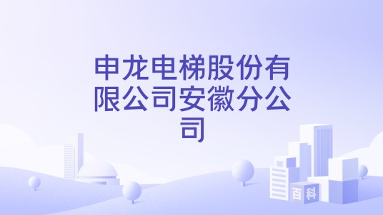申龙电梯股份有限公司安徽分公司