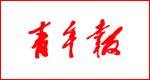 青年报（1949年创刊的青年报纸）