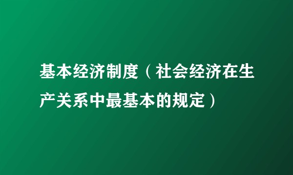 基本经济制度（社会经济在生产关系中最基本的规定）