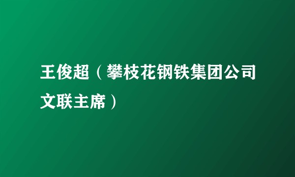 王俊超（攀枝花钢铁集团公司文联主席）