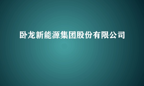 卧龙新能源集团股份有限公司