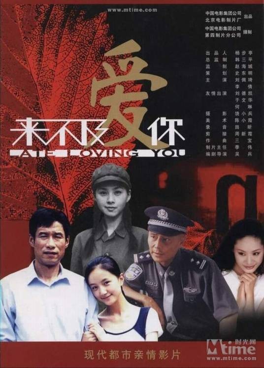 来不及爱你(2003年吴兵执导的电影)