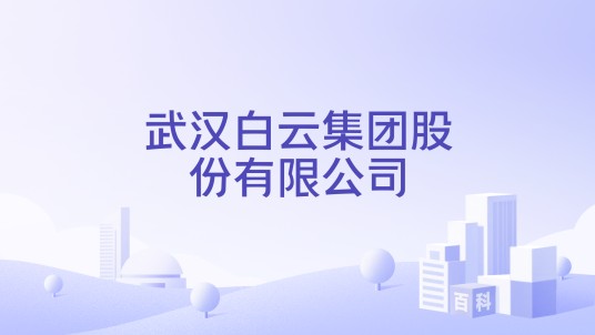 武汉白云集团股份有限公司