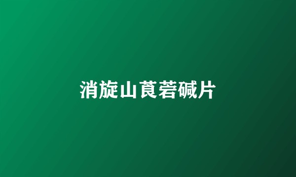 消旋山莨菪碱片