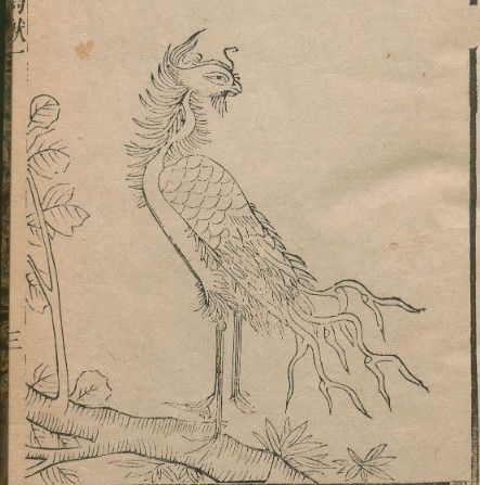 丹凤（中国古代神话中的红色祥瑞神鸟）