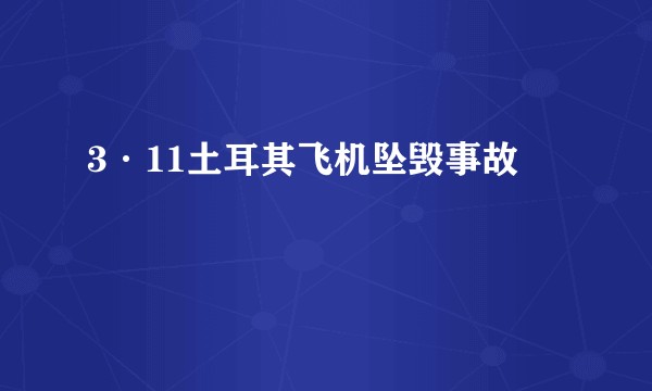 3·11土耳其飞机坠毁事故
