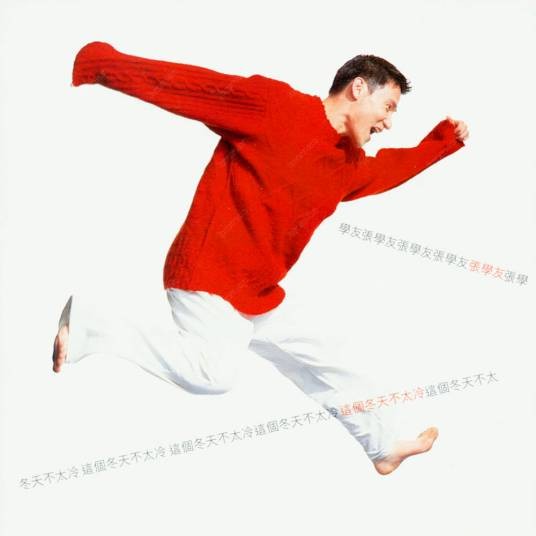 这个冬天不太冷（1994年张学友演唱的歌曲）