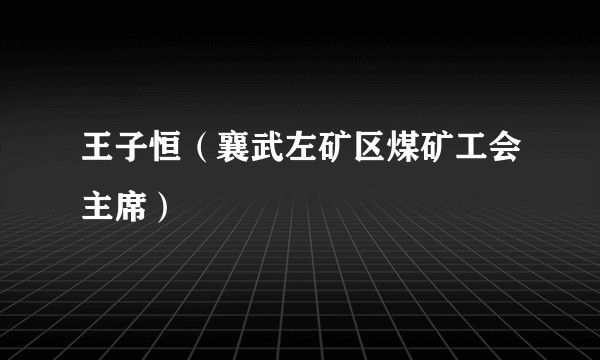 王子恒（襄武左矿区煤矿工会主席）