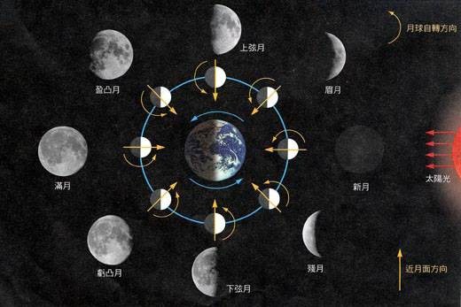 朔望月（月球绕地球公转相对于太阳的平均周期）