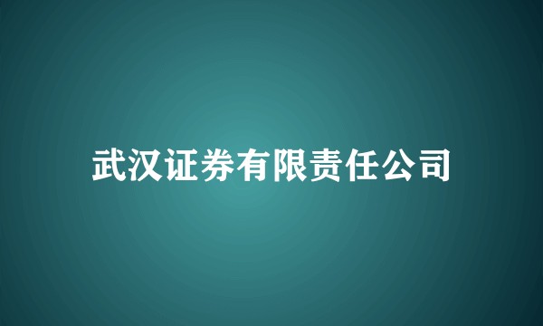 武汉证券有限责任公司