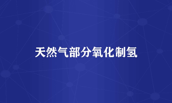 天然气部分氧化制氢