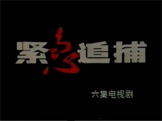 紧急追捕（1994年何群执导的电视剧）
