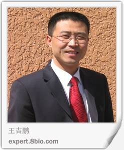 王吉鹏（著名管理咨询专家）