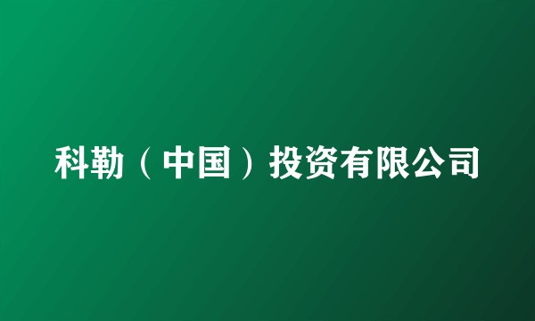 科勒（中国）投资有限公司