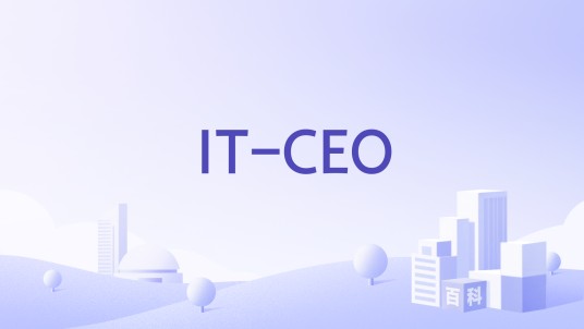 IT-CEO