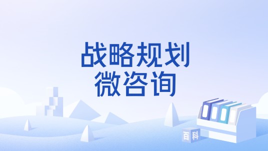战略规划微咨询