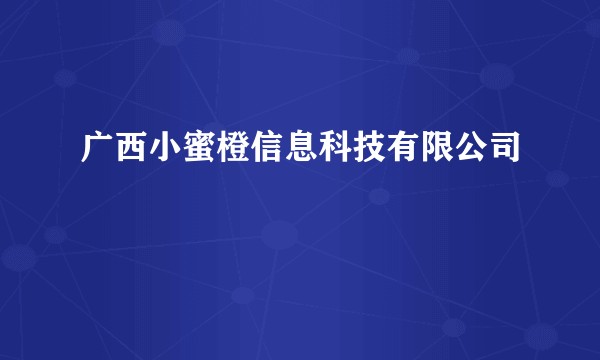 广西小蜜橙信息科技有限公司