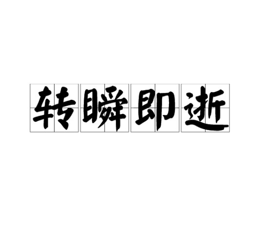 转瞬即逝(汉语成语)