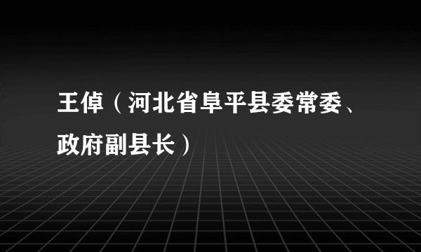 王倬（河北省阜平县委常委、政府副县长）