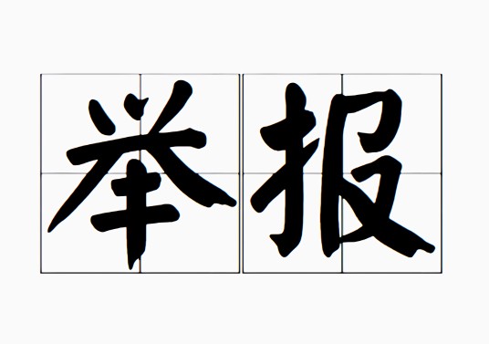 举报(汉语词语)
