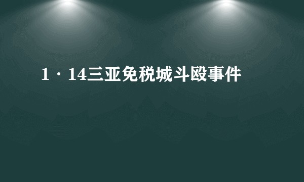 1·14三亚免税城斗殴事件