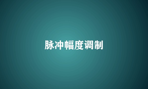 脉冲幅度调制