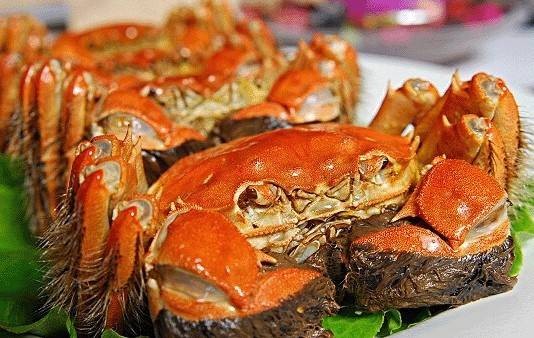 黄河口大闸蟹