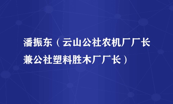 潘振东(云山公社农机厂厂长兼公社塑料胜木厂厂长)