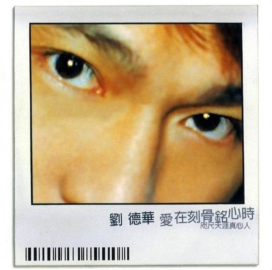 别说爱情苦(1997年刘德华、梅艳芳演唱的歌曲)