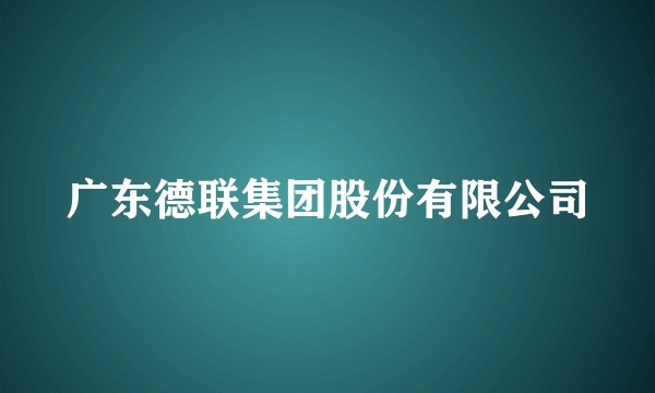 广东德联集团股份有限公司