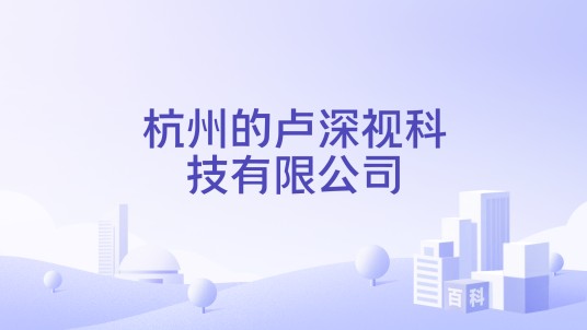 杭州的卢深视科技有限公司