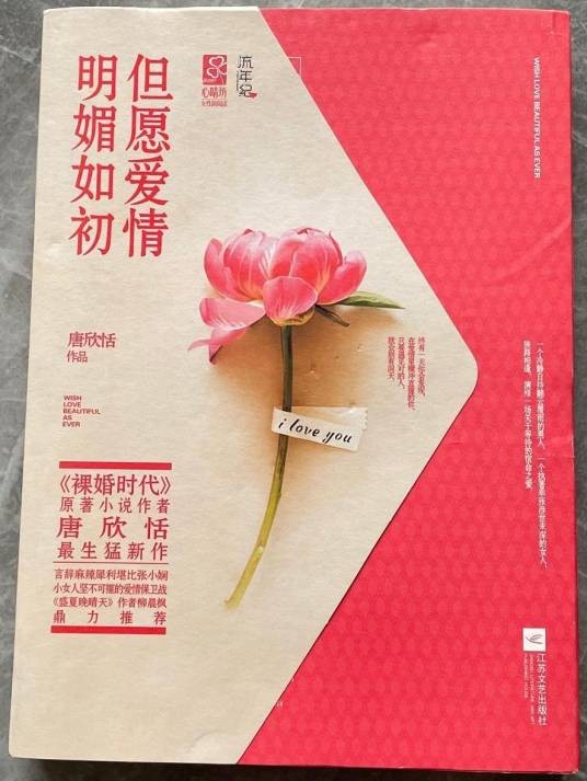 但愿爱情明媚如初（2013年江苏文艺出版社出版的图书）