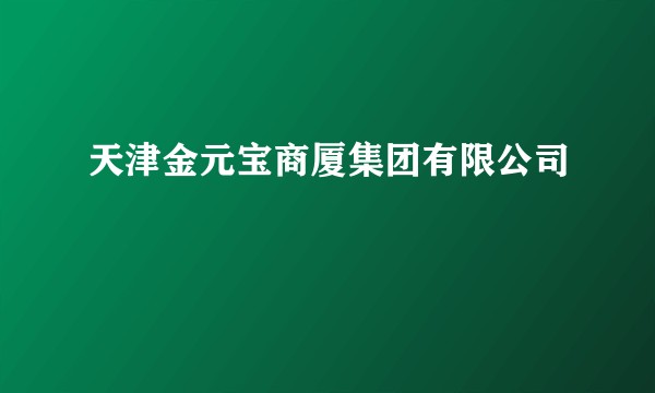 天津金元宝商厦集团有限公司