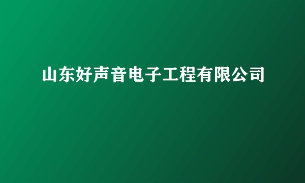 山东好声音电子工程有限公司