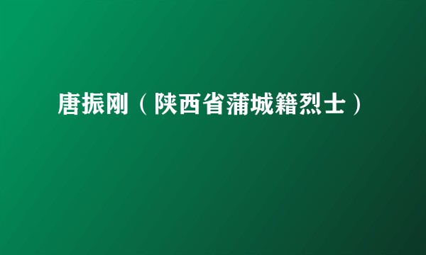 唐振刚（陕西省蒲城籍烈士）